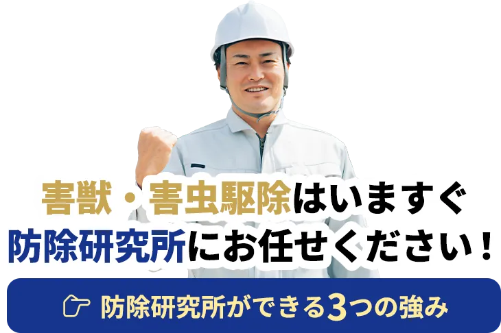 害獣・害虫駆除はいますぐ防除研究所にお任せください！