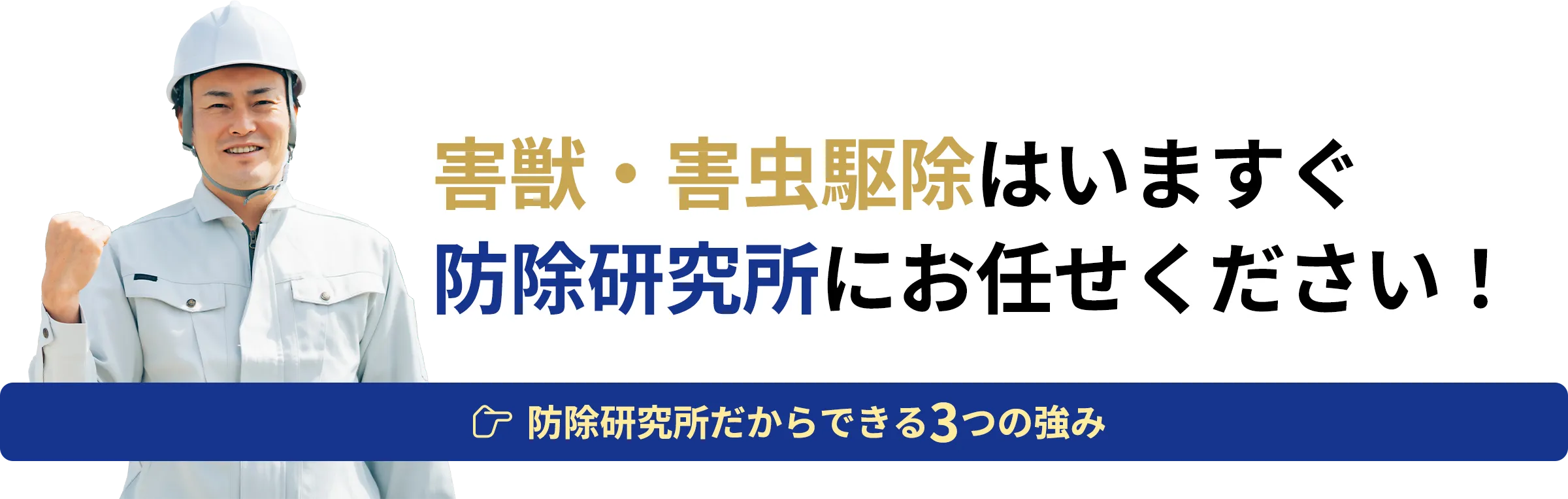 害獣・害虫駆除はいますぐ防除研究所にお任せください！